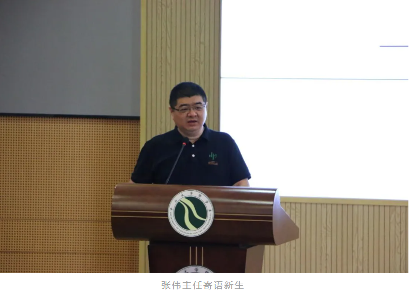 image-20241016093159-6