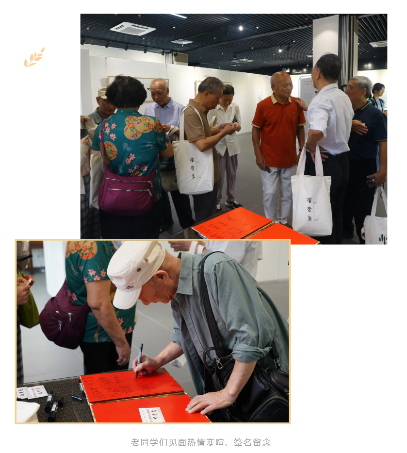 image-20241023094357-2